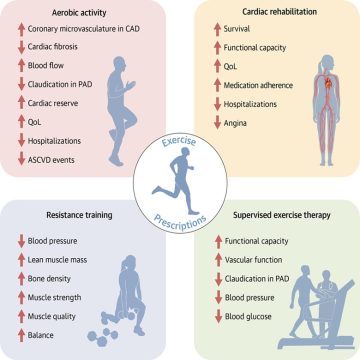 Prescrições de exercícios para a saúde cardiovascular em adultos: Declaração científica do ACC de 2026